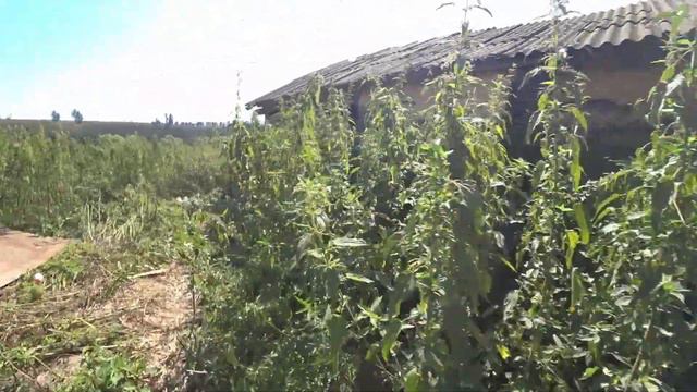 Село Киселёво / Заброшенные деревни России