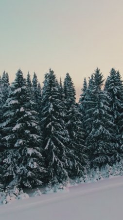 Зимние пейзажи с высоты птичьего полёта. Республика Коми. Княжпогостский район.