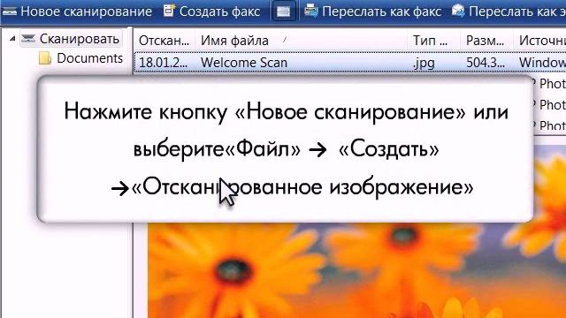 Скан. в 