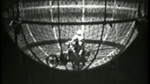 "Шар смелости" Маяцкие