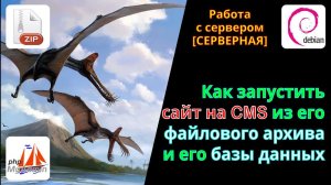 Как поднять работающий сайт из его архива у себя на сервере. Почему не работает сайт?