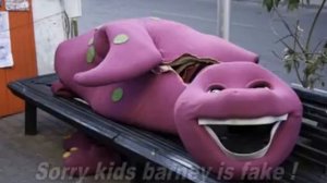 killing barney song.flv