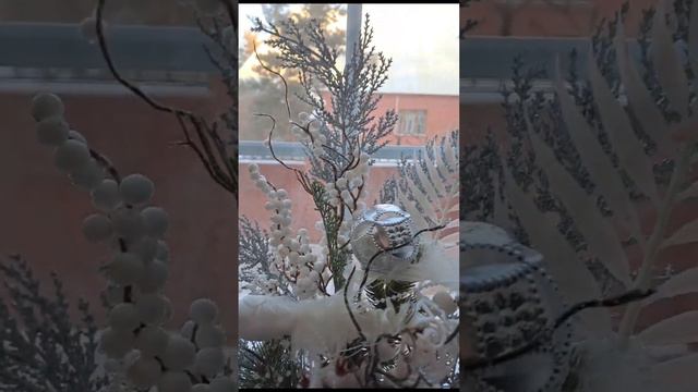 Почему осыпаются листья у гибискуса.19.01.24.Сев Каз..Ч.634. смотреть онлайн