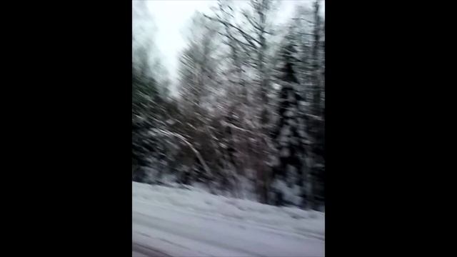 Природа России 4