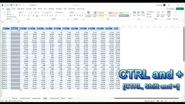 Time-saving Excel Table shortcuts: Add, format, select and manipulate rows and columns