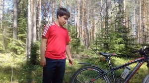 Лучше купить его, чем какой нибудь Stern! Обзор Silverback Stride 20 2014года.