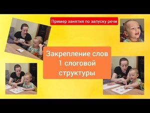 Закрепление слов 1 слоговой структуры. Пример занятия ( ребенку 2, 3 г)