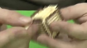 Спичкин дом, секреты моделирования из спичек | крутые идеи для творчества