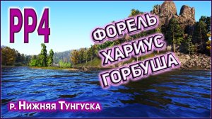 РР4 ТУНГУСКА • ГОРБУША • ХАРИУС • ФОРЕЛЬ - ЕСТЬ