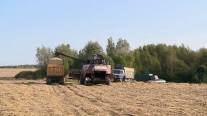 На Смоленщине продолжается уборка урожая. Лидируют Починковский, Ельнинский и Сыческий районы