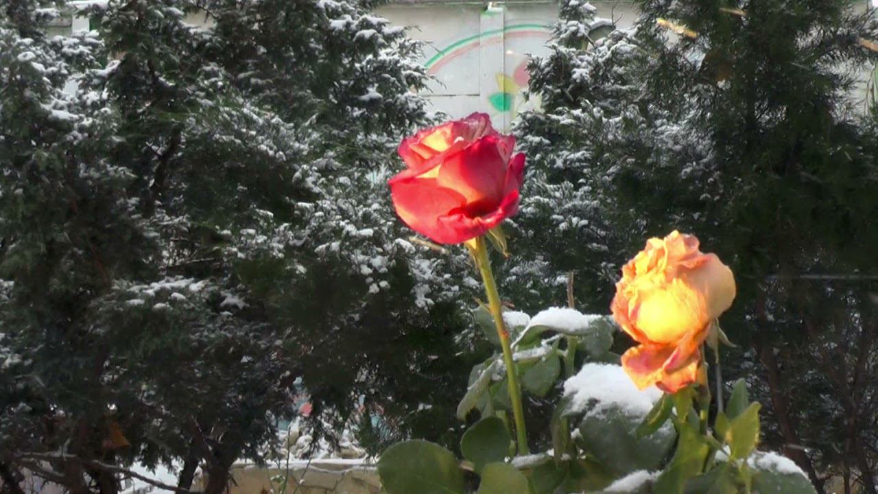 Кристаллизация - ступень Духовной Эволюции Сознанья. Сейчас мы все её проходим вместе.