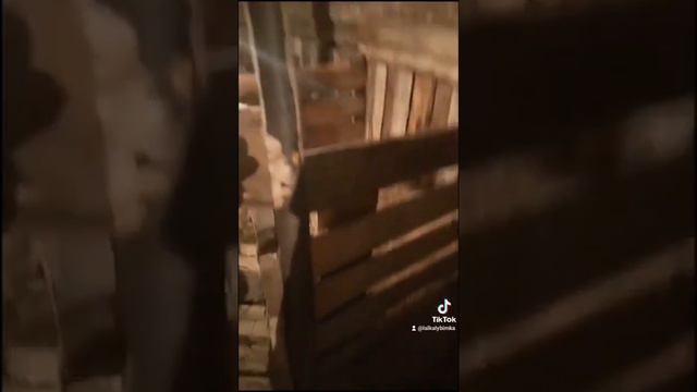 МЕЧТЫ СБЫВАЮТСЯ, кто-то мечтает о машине, кто-то о квартире..... а я о коровке!!!! смотреть онлайн