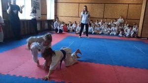 Сумо в Академии Каратэ.