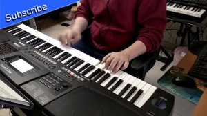 The Waves of Danube Cover on Kurzweil KP300x!
