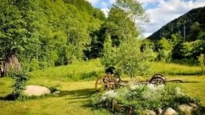 Сельский дом с традиционным дизайном