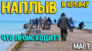 Что происходит сегодня в Крыму? Какой отдых ждёт нас сегодня? Новофёдоровка Саки Крым 2023 новости