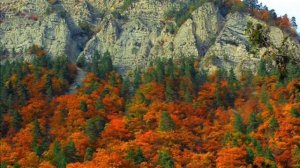 7 дом в Близнецах