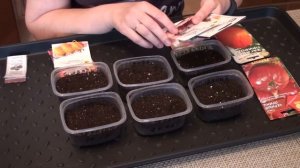 Томаты для теплицы.1 этап. Посадка. Обзор сортов и гибридов для закрытого грунта 2018 г.