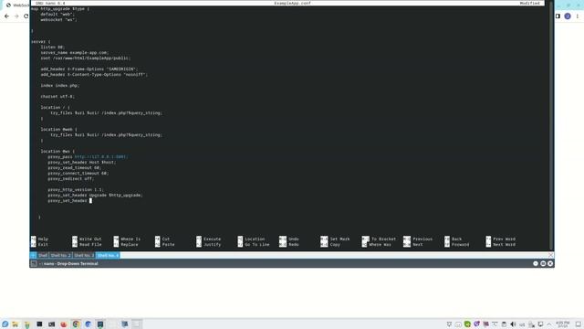 Laravel websockets + nginx reverse proxy смотреть онлайн