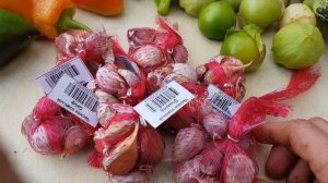 Посылка от "Сады России", Обзор, чеснок сортовой