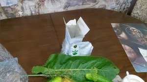 Хрустящие огурцы в пластиковой бутылке без консервации пальчики оближешь