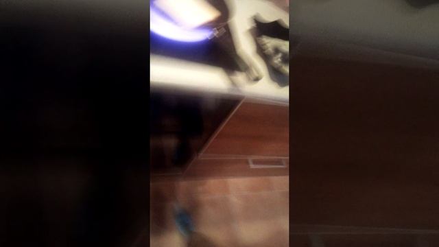 готовим с Кирой папе завтрак смотреть онлайн