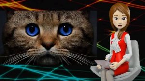 К чему снится кошка? Толкование сновидений