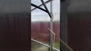 Установка капельного полива в теплице.  #капельный полив#дача#свойдом#теплица