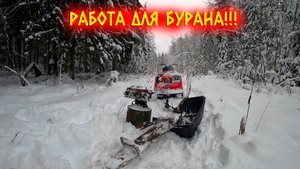 ЧТО НЕ СМОГЛИ ЗАБРАТЬ НА ВЕЗДЕХОДЕ, ЗАБЕРЁМ НА СНЕГОХОДЕ! ЗИМНИЙ СБОР МЕТАЛЛОЛОМА!!!