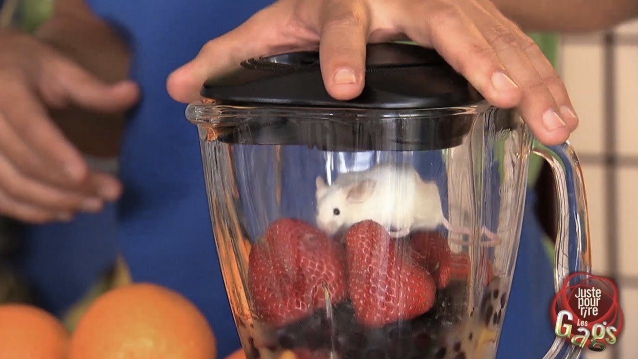 Мышь в блендере для сока
