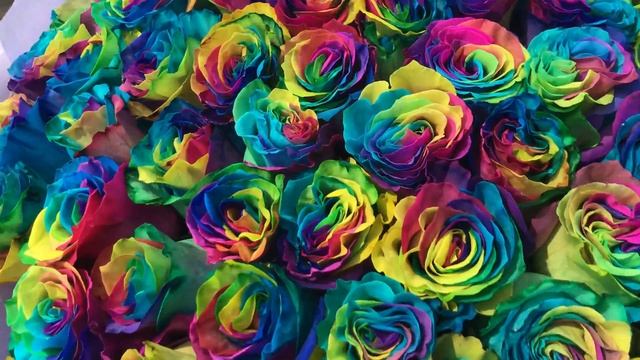 Доставка радужных роз Москва смотреть онлайн