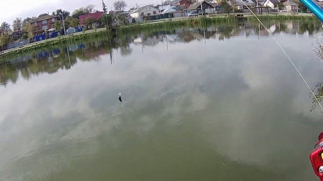 "Тамбовское озеро", рыбалка в городе Павловск. смотреть онлайн