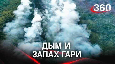 Дым и смог пришли в Москву из Рязани