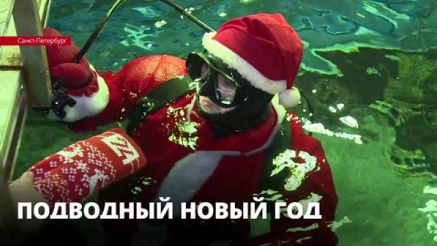 Посетители Петербургского океанариума узнают, сколько времени Дед Мороз может провести под водой