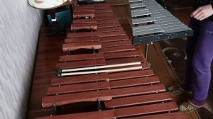 Yamaha PSR E-463. Владимир Косма, Игрушка.