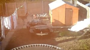 ДОБЕРМАН - быстрый, надежный защитник и умный друг! Доберман против енота, койота и даже пумы!