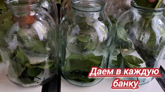 Квашеные огурцы это просто и вкусно | Рецепт хрустящих и вкуснейших соленых огурцов ? смотреть онлайн