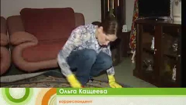 Экспертиза средств для чистки ковров смотреть онлайн