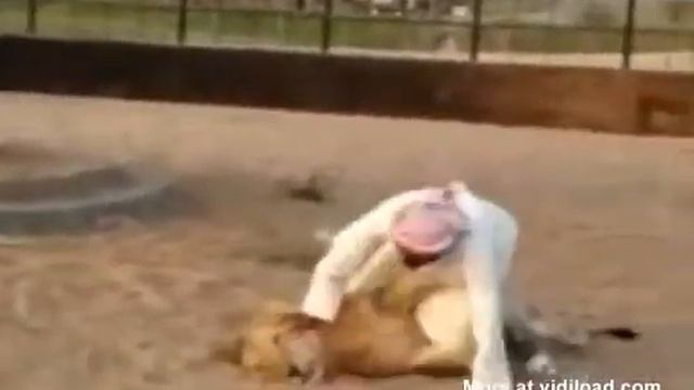 Arab Ride Lion Like Horse смотреть онлайн