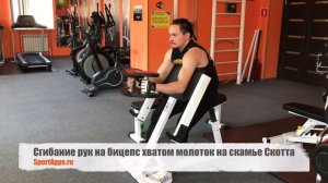 Сгибание рук на бицепс хватом молоток на скамье Скотта