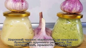 Пошаговая инструкция по посадке бульбочек чеснока под зиму: основные правила и секреты опытных ого.