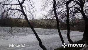 Новодевичий монастырь. Москва . 2021