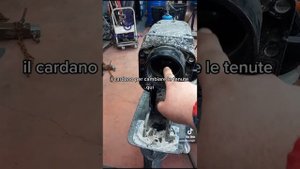 revisione piede bravo 3 mercruiser