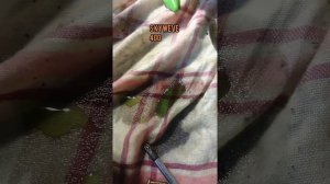 хлопки в Карбюраторе Suzuki Suzuki Burgman (SkyWave) 400