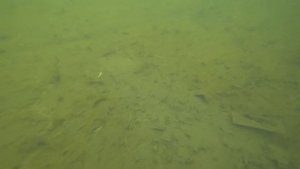 Игра Bassday Mogul Minnow 130SP. Подводные съемки. Underwater