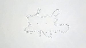 Amoeba drawing with dots trick easy/ how to draw amoeba diagram / draw amoeba diagram/ draw amoeba