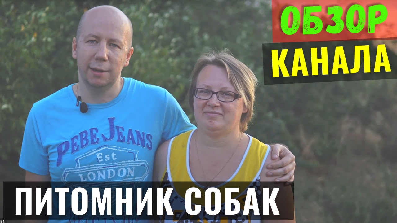 Питомник Собак Обзор и Доход Ютуб Канала смотреть онлайн