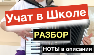 Учат в Школе Разбор как играть на Аккордеоне - Бесплатный урок Аккордеона для начинающих