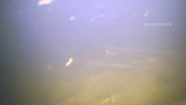 Эффективность разнесенной LED подсветки в плохих условиях под водой смотреть онлайн