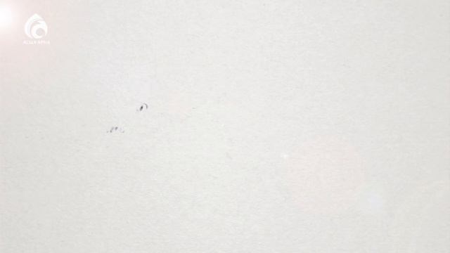 Сильные и слабые стороны ребенка \ По душам \ Асыл арна смотреть онлайн